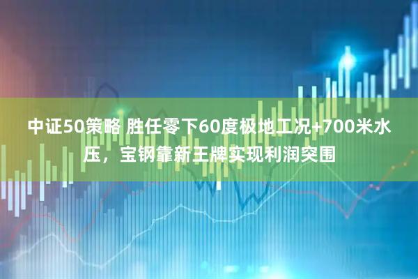 中证50策略 胜任零下60度极地工况+700米水压，宝钢靠新王牌实现利润突围