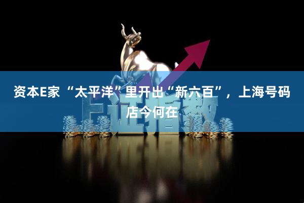 资本E家 “太平洋”里开出“新六百”，上海号码店今何在